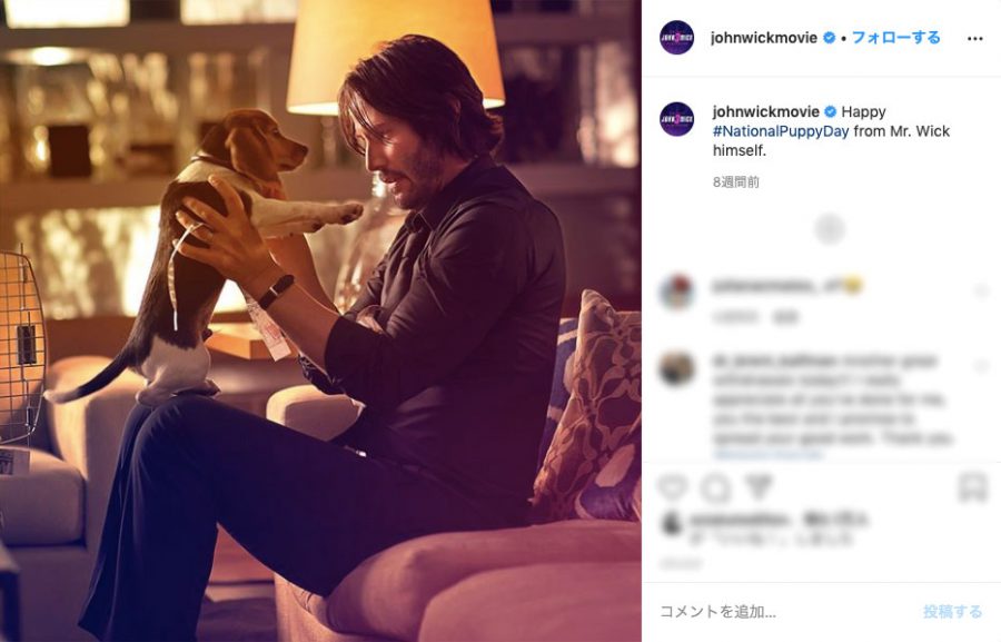 キアヌ主演『ジョン・ウィック』大ヒットに貢献⁉ 愛犬デイジー＆作品名の秘話を脚本家が明かす！