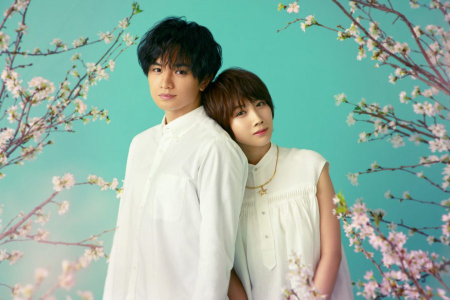 中島健人×松本穂香！70万部の大ヒット恋愛小説を映画化『桜のような僕の恋人』制作決定!!