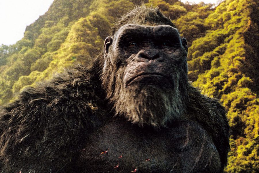 『ゴジラvsコング』どっちが王者（キング）だ!? 世紀の怪獣どつきあいアトラクションついに公開！