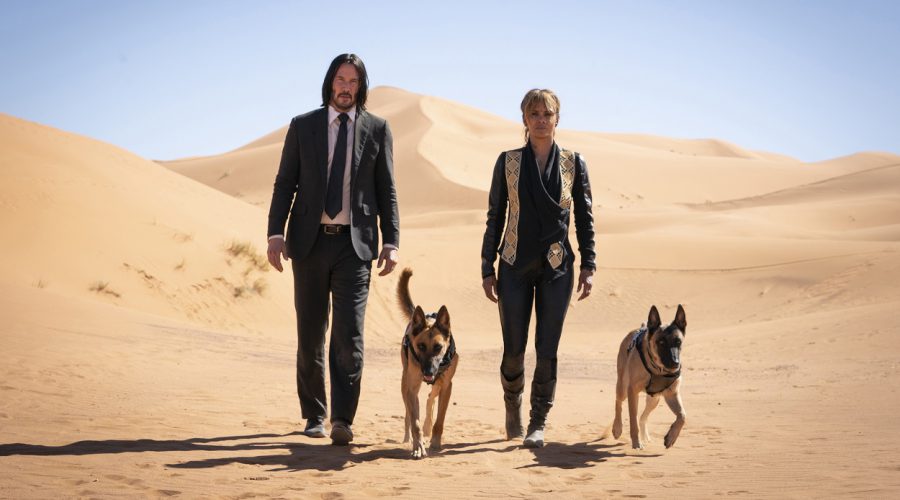 『ジョン・ウィック』シリーズ出演のハル・ベリーが次回作とスピンオフ製作の可能性に言及!? 『007』のスピンオフにまつわる“苦いトラウマ”についても告白！