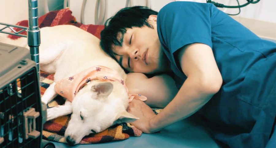 「生きているものはみんな助ける、犬も猫も！」熱き獣医師・林遣都×中川大志『犬部！』篠原哲雄監督が語る撮影秘話＆犬猫愛